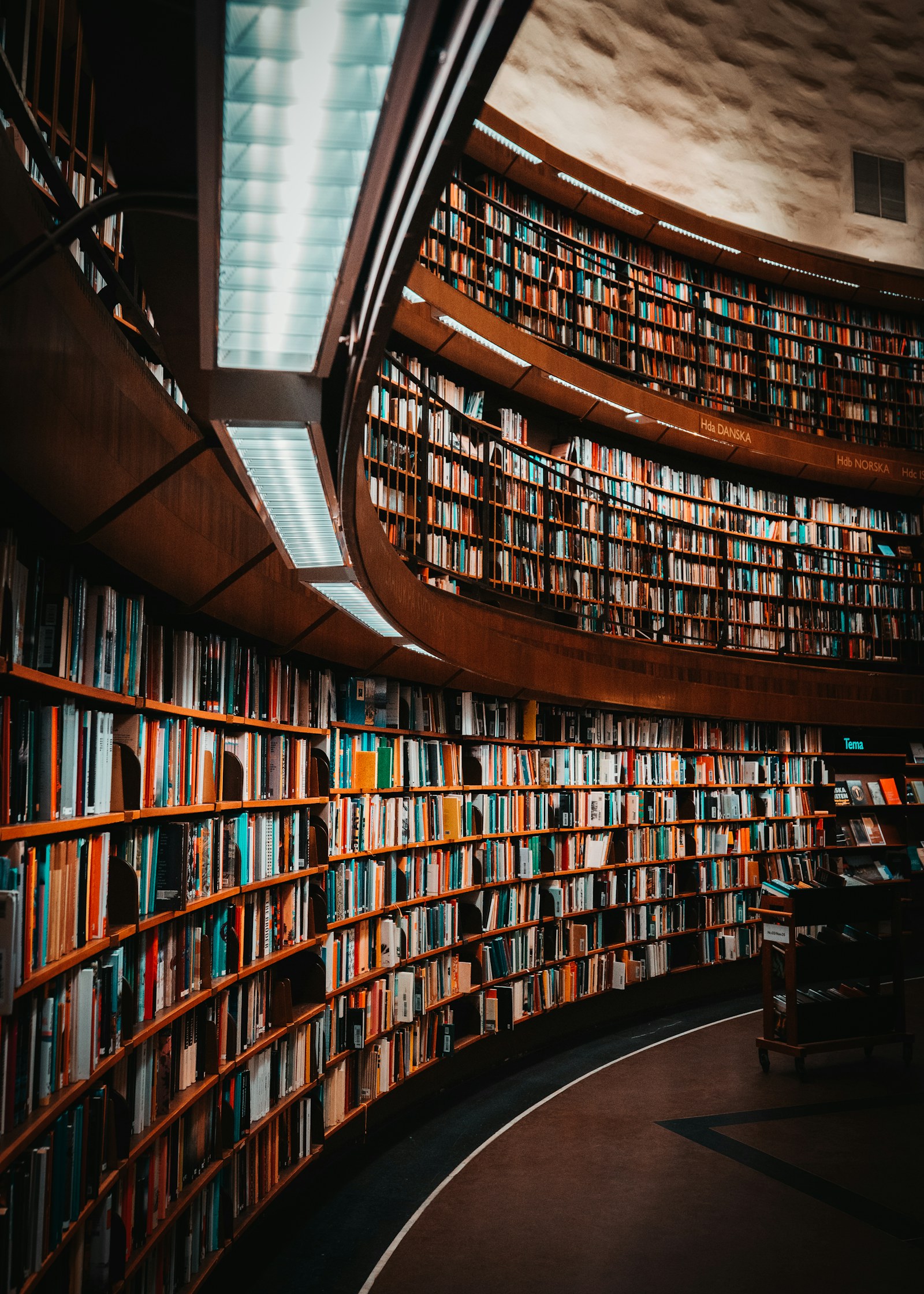 Bibliothek mit gestapelten Büchern und Akten